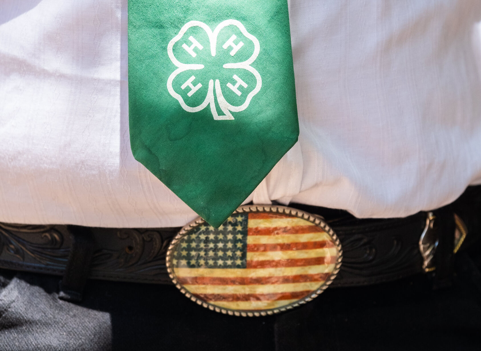 4-H at the Fair